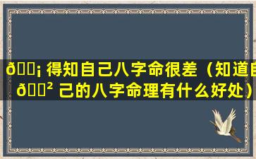 🐡 得知自己八字命很差（知道自 🌲 己的八字命理有什么好处）